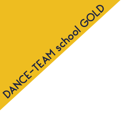 dtschoolgold_badge